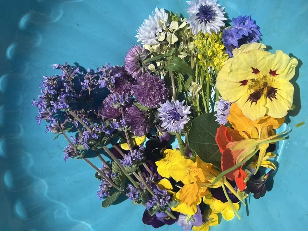 Edible Flowers, Micro Greens and Epic Blends 