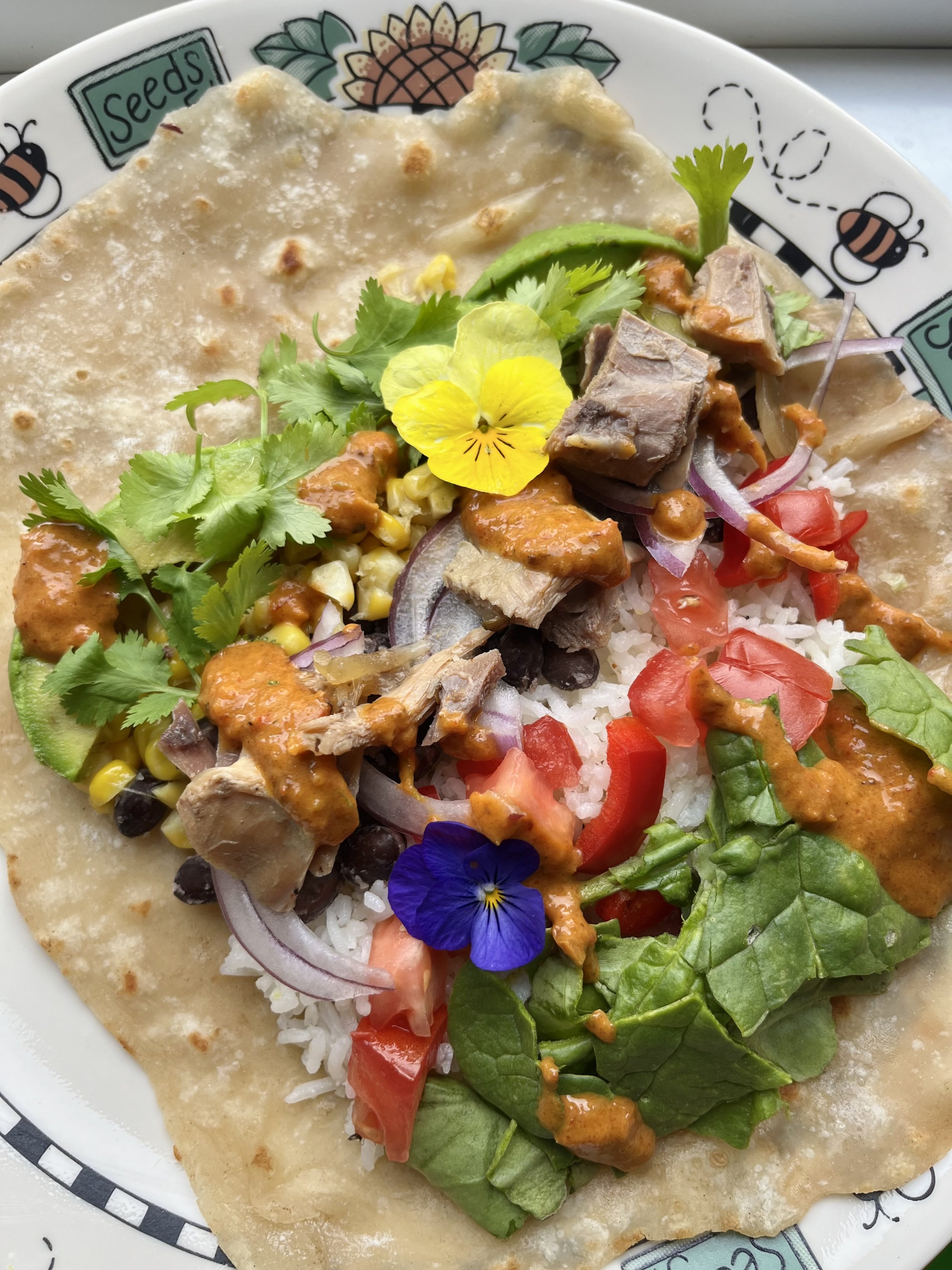 Why have Gratitude for Food? - Article 