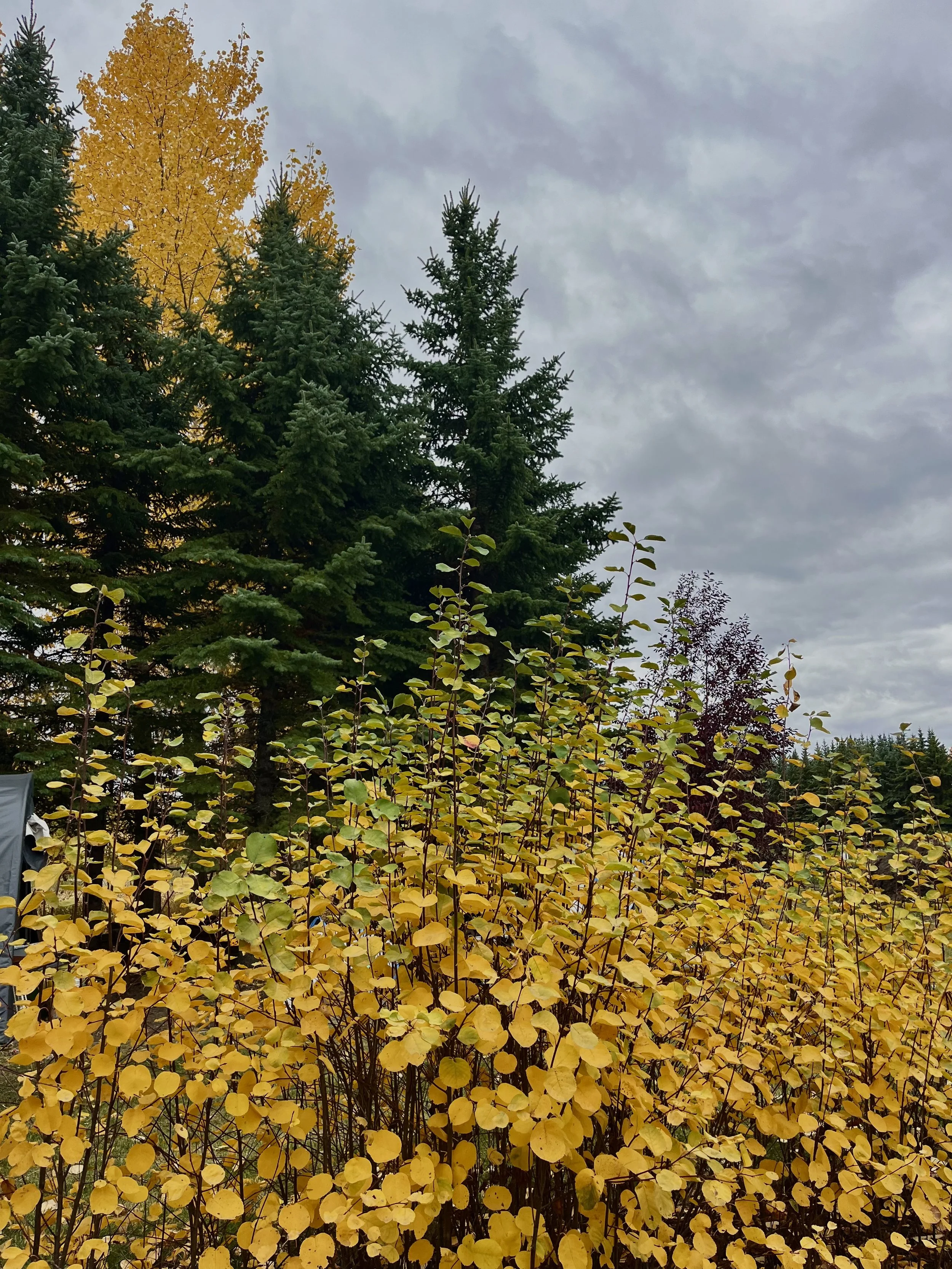 End of Season Field Tour - Reel 