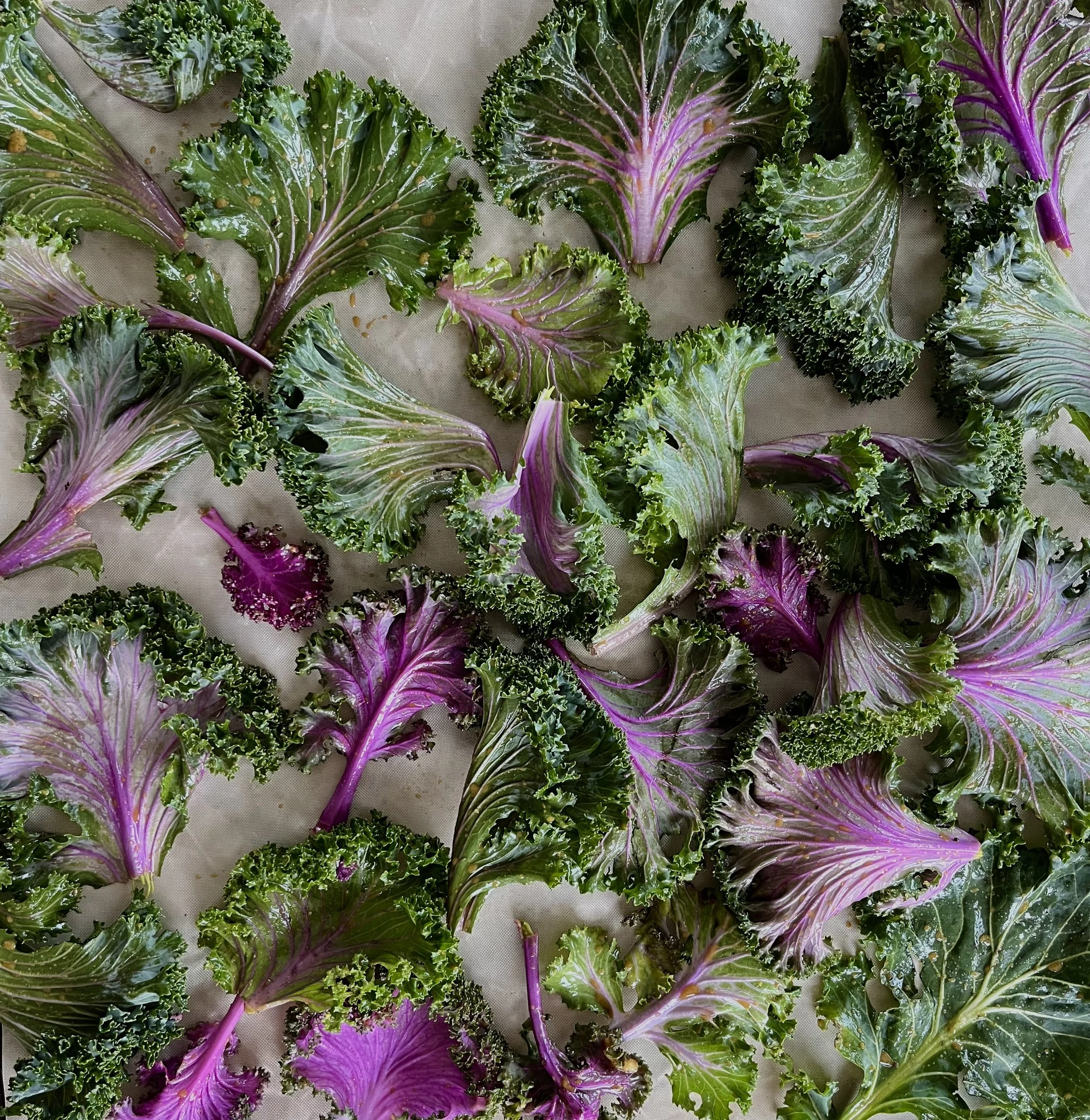 Cheesy Kale Chips Recipe - Staring Japanese Flowering Kale