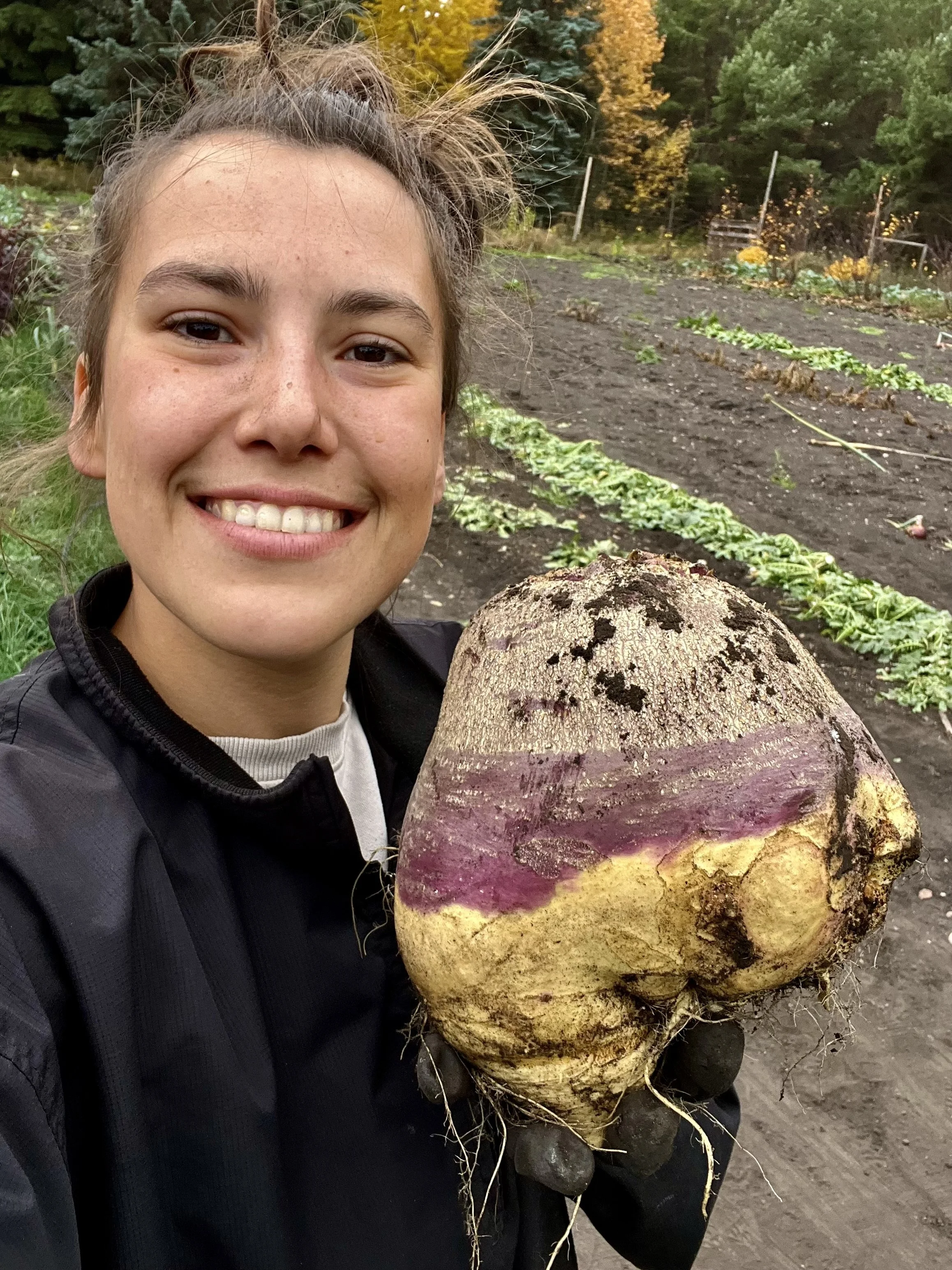 Rutabaga - Produce of the Week