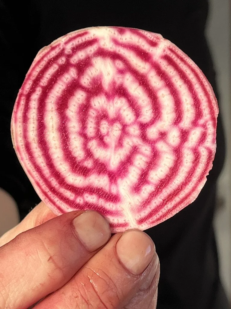 Chioggia Beets - Produce of the Week