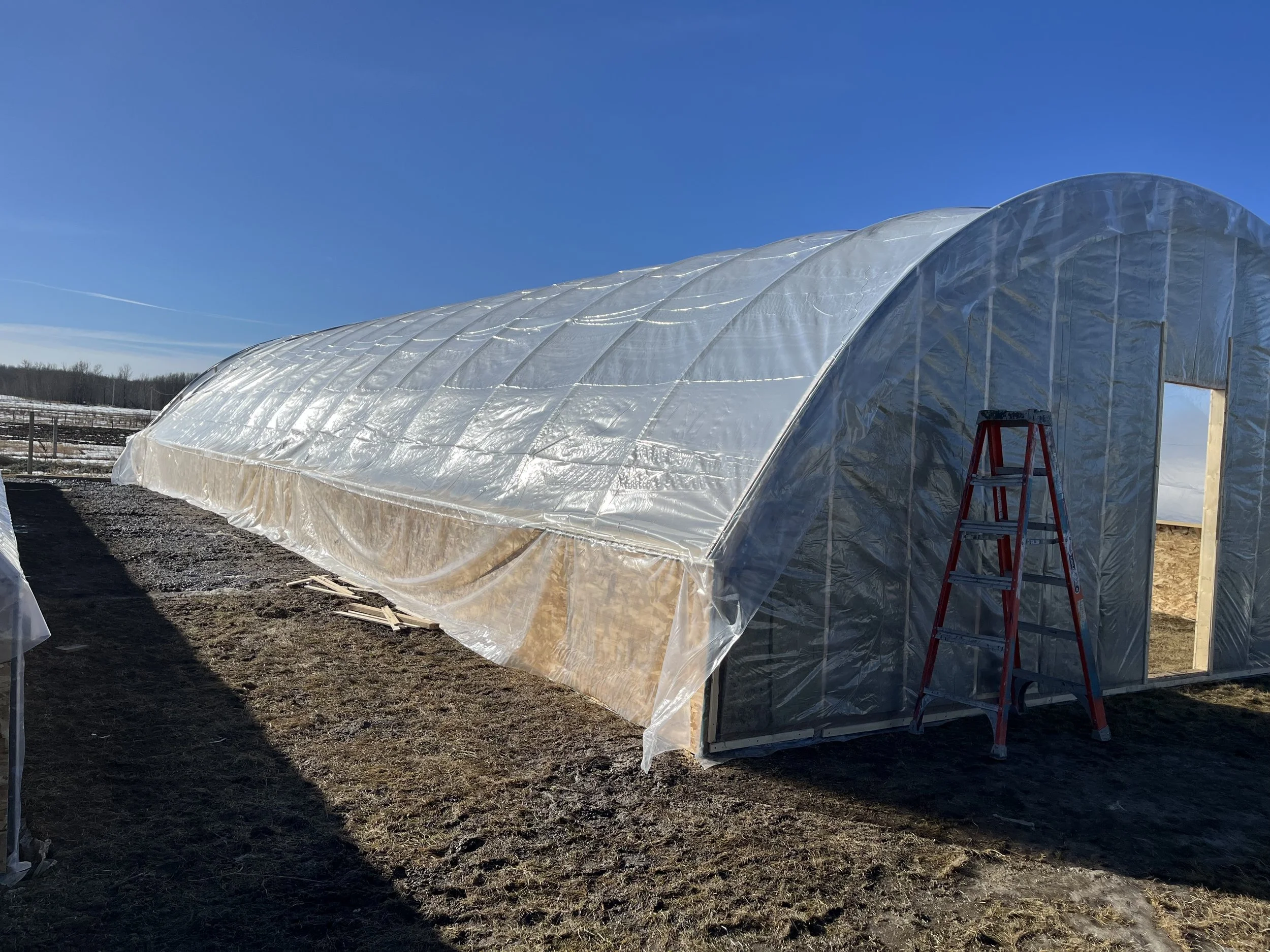 Building Two Greenhouses - Reel