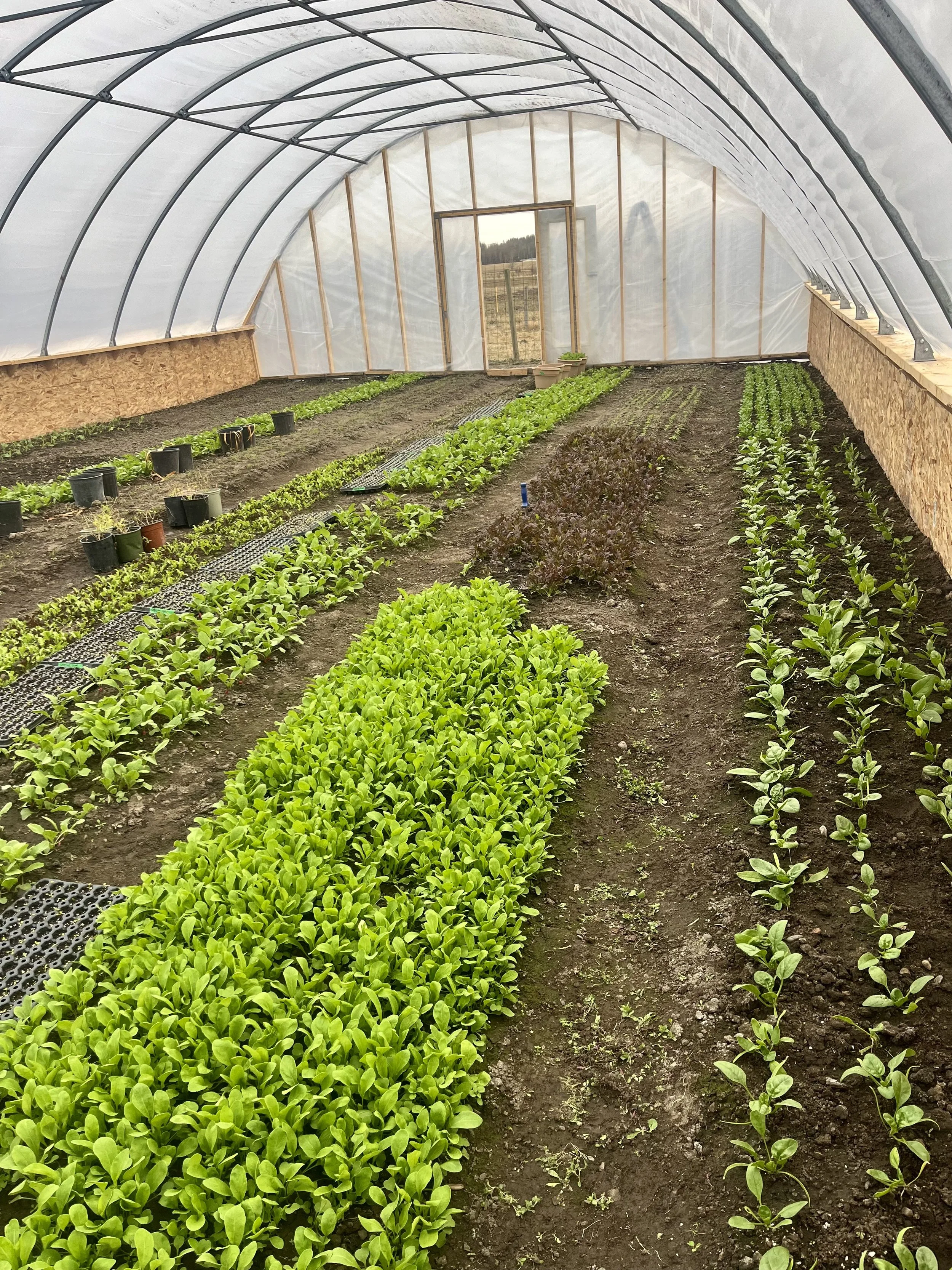 April Growing Update