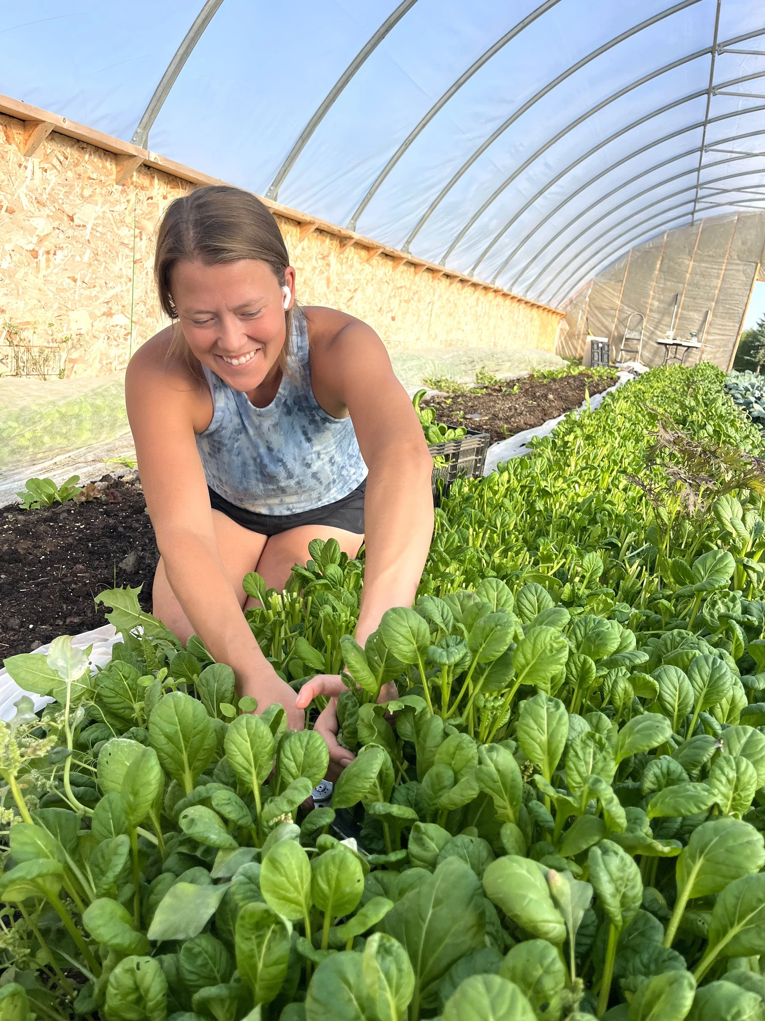 Produce of the Week - Tatsoi 