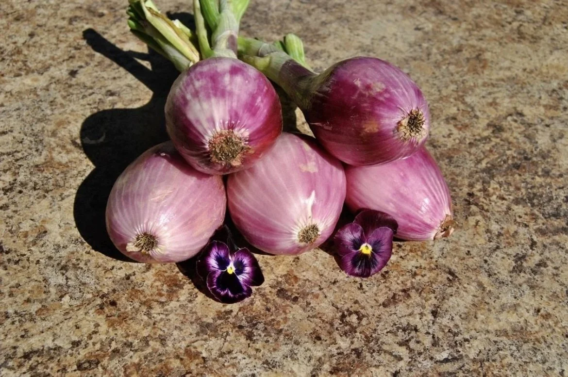 Produce of the Week - Shallots