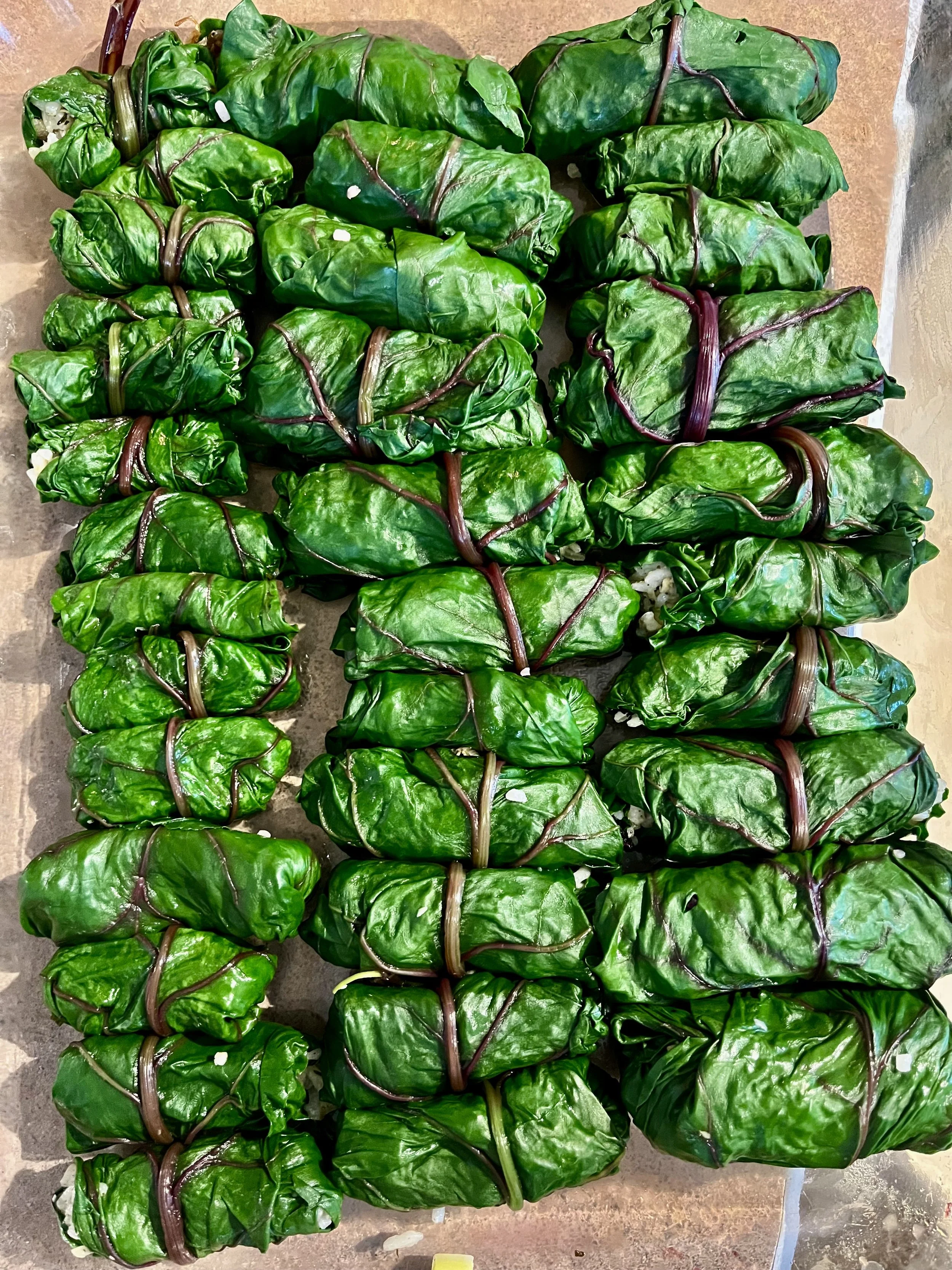 IMG_0250.jpeg