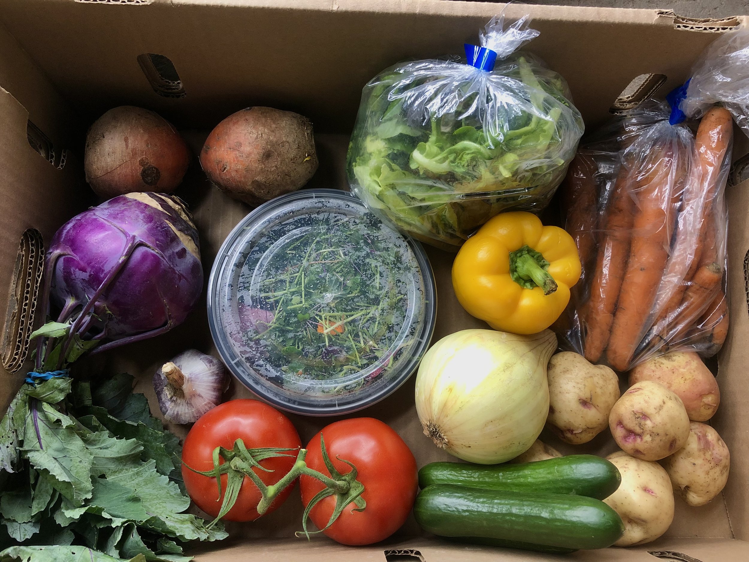 Produce Boxes - BULK DEAL