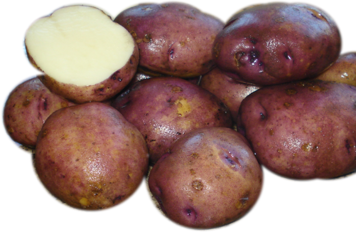 caribe-705x460.png