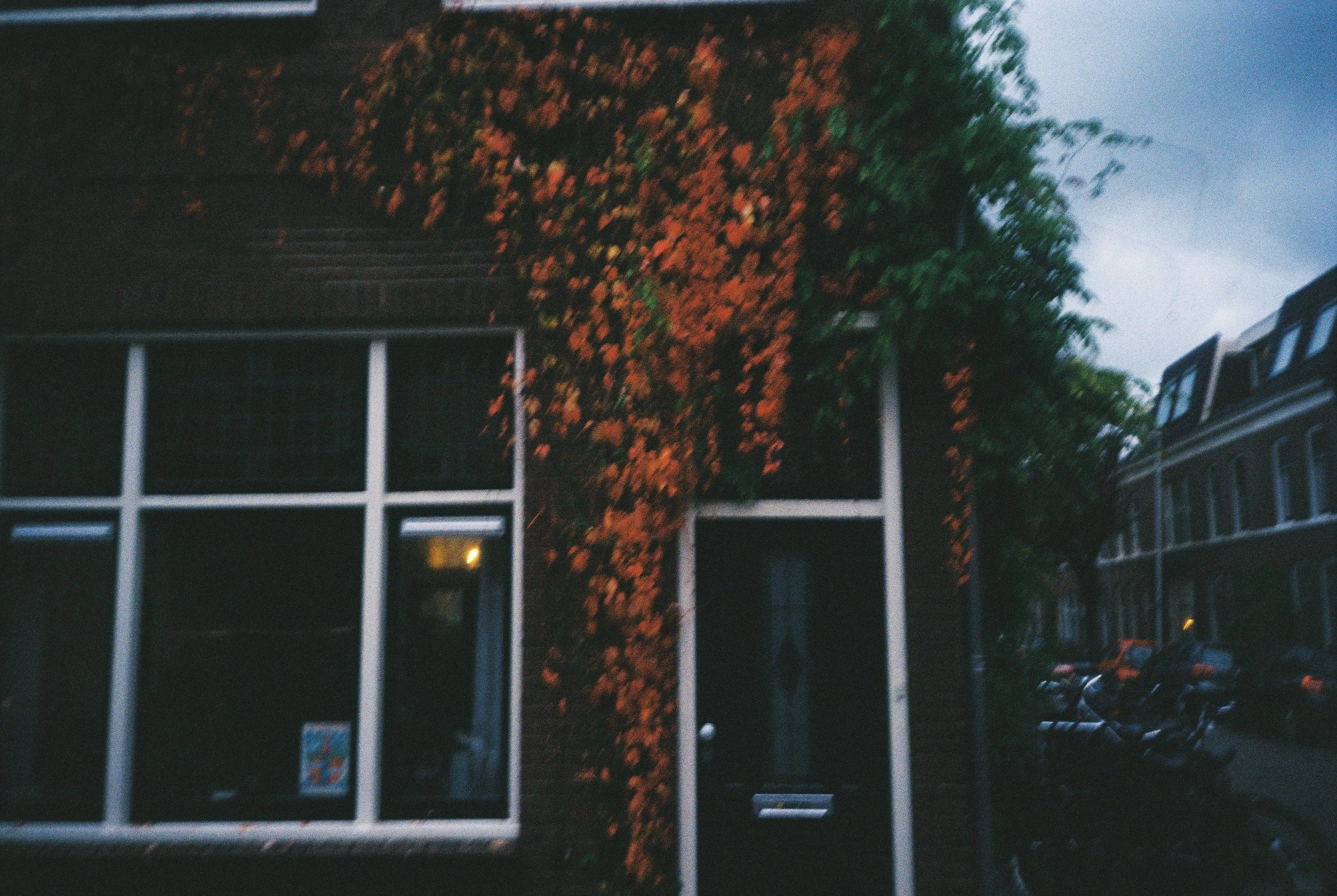 October 20th