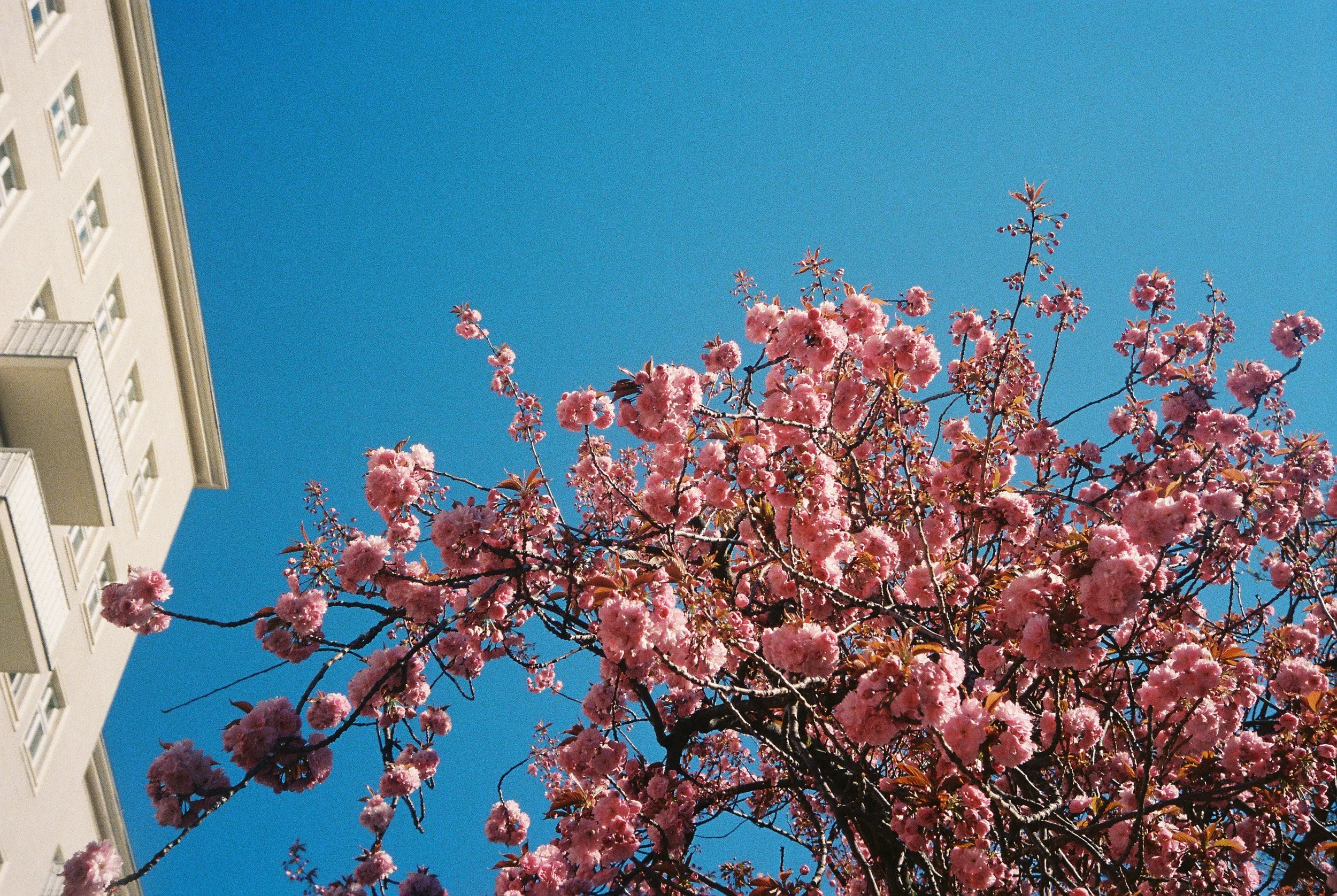 April 26th