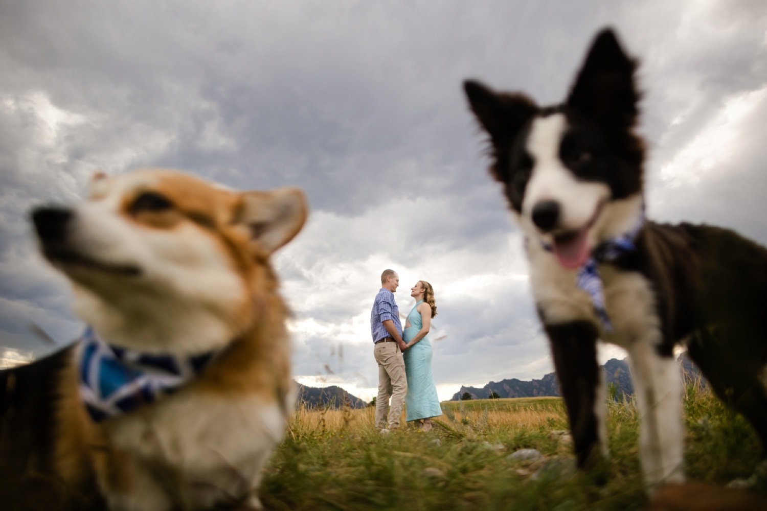 Boulder-Flatirons-Vista-Engagement-Session-with-couple-and-dogs.jpg.jpg