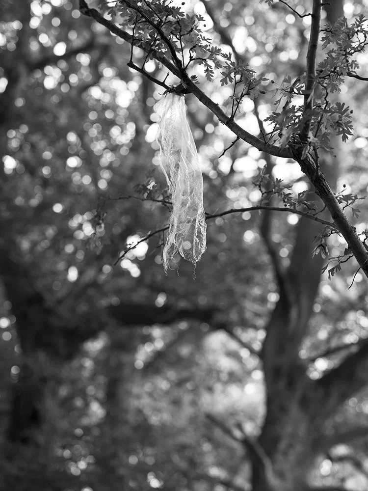 AJW-River Bollin 08:26 w .jpg