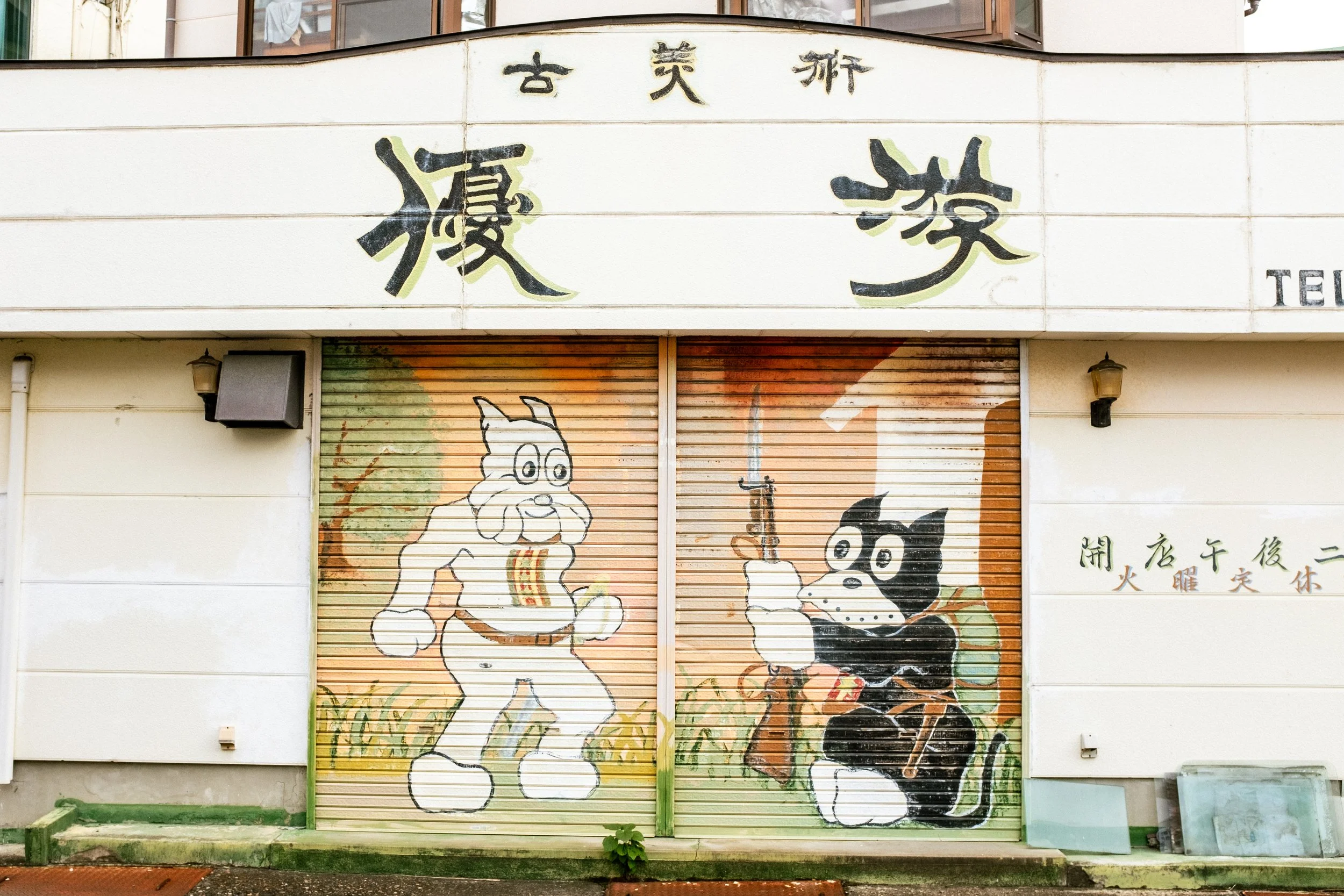DSCF5366.jpg