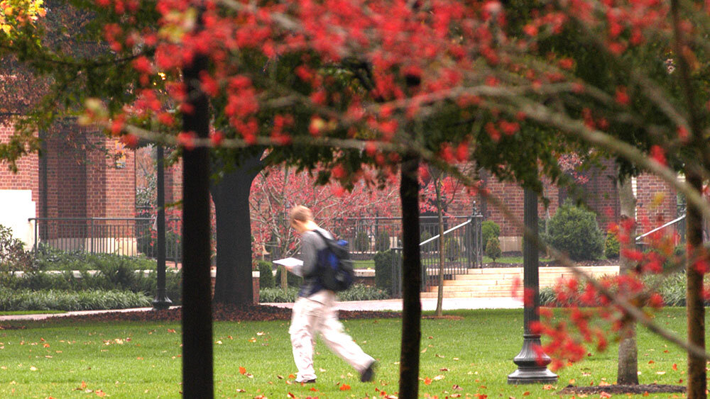 Essay — MyCoalition Counselor | Coalition for College