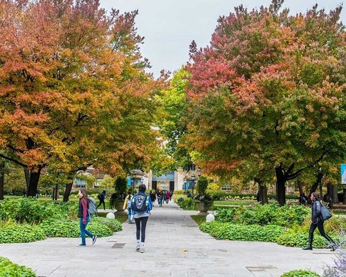 Prepare for & apply to college with the Coalition for College