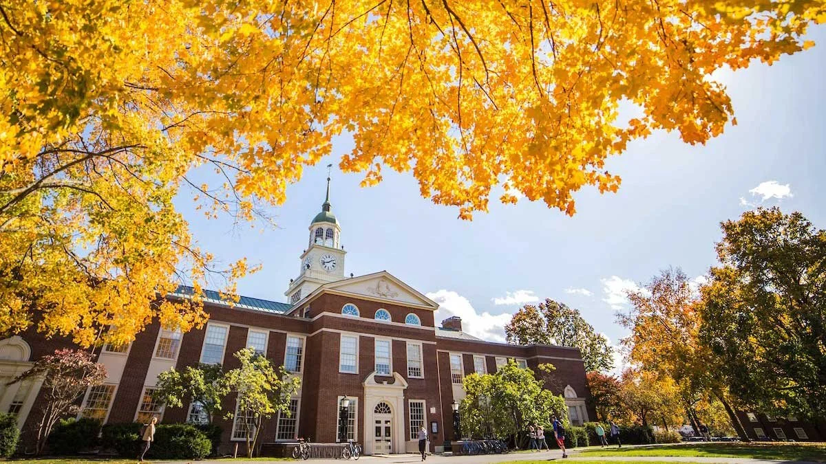 Essay — MyCoalition Counselor | Coalition for College