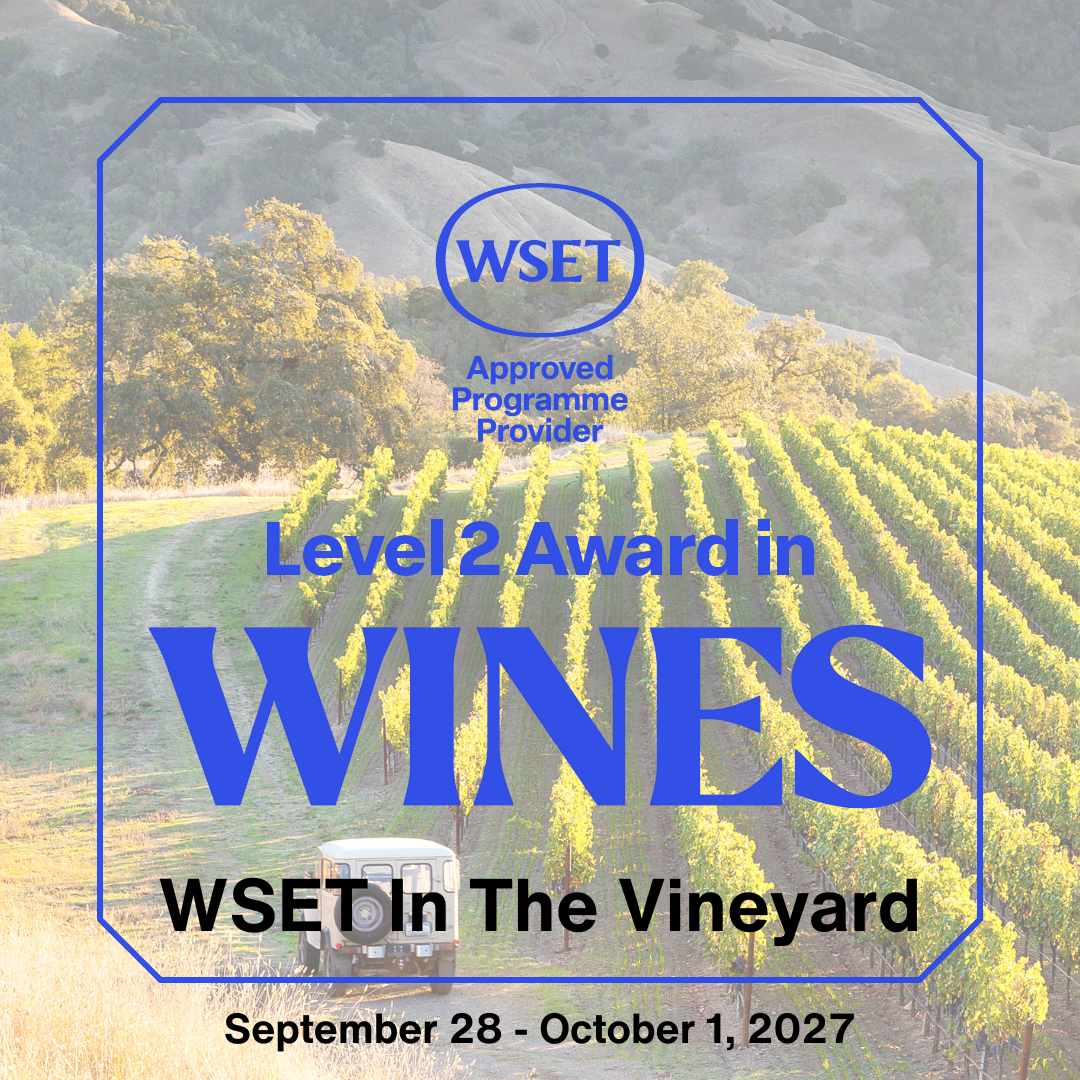 Level 2 in the vineyard.png