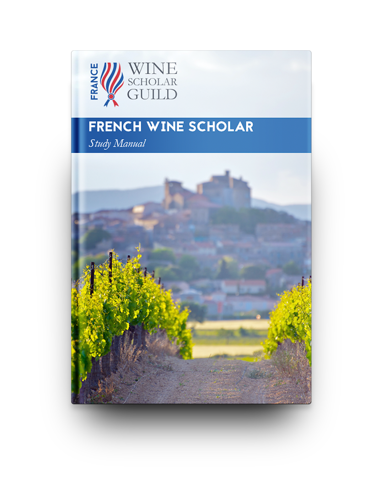 Wine Classes — Commonwealth Wine School