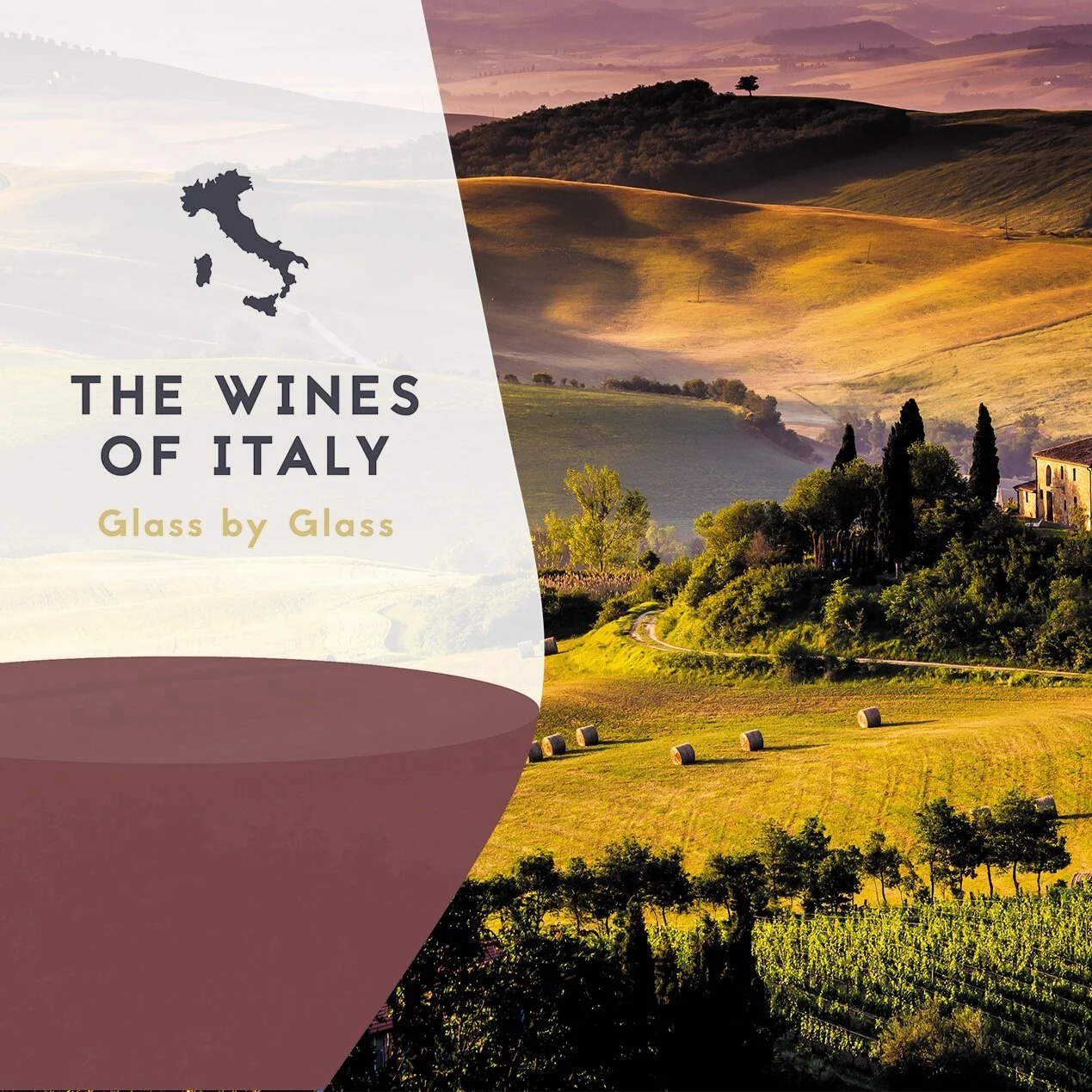 Wine Scholar Guild Courses — Commonwealth Wine School Wine Classes