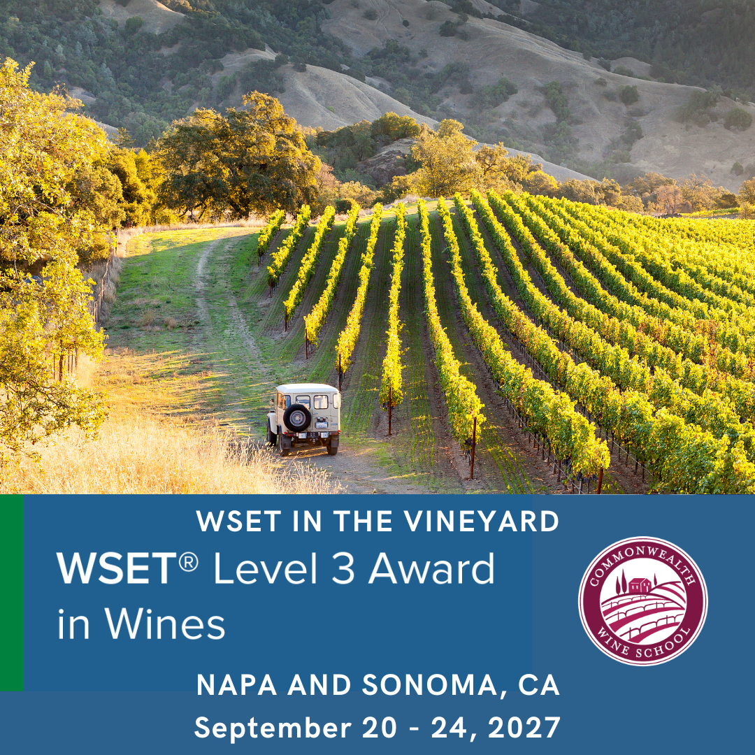 wset in the vineyard 3.png