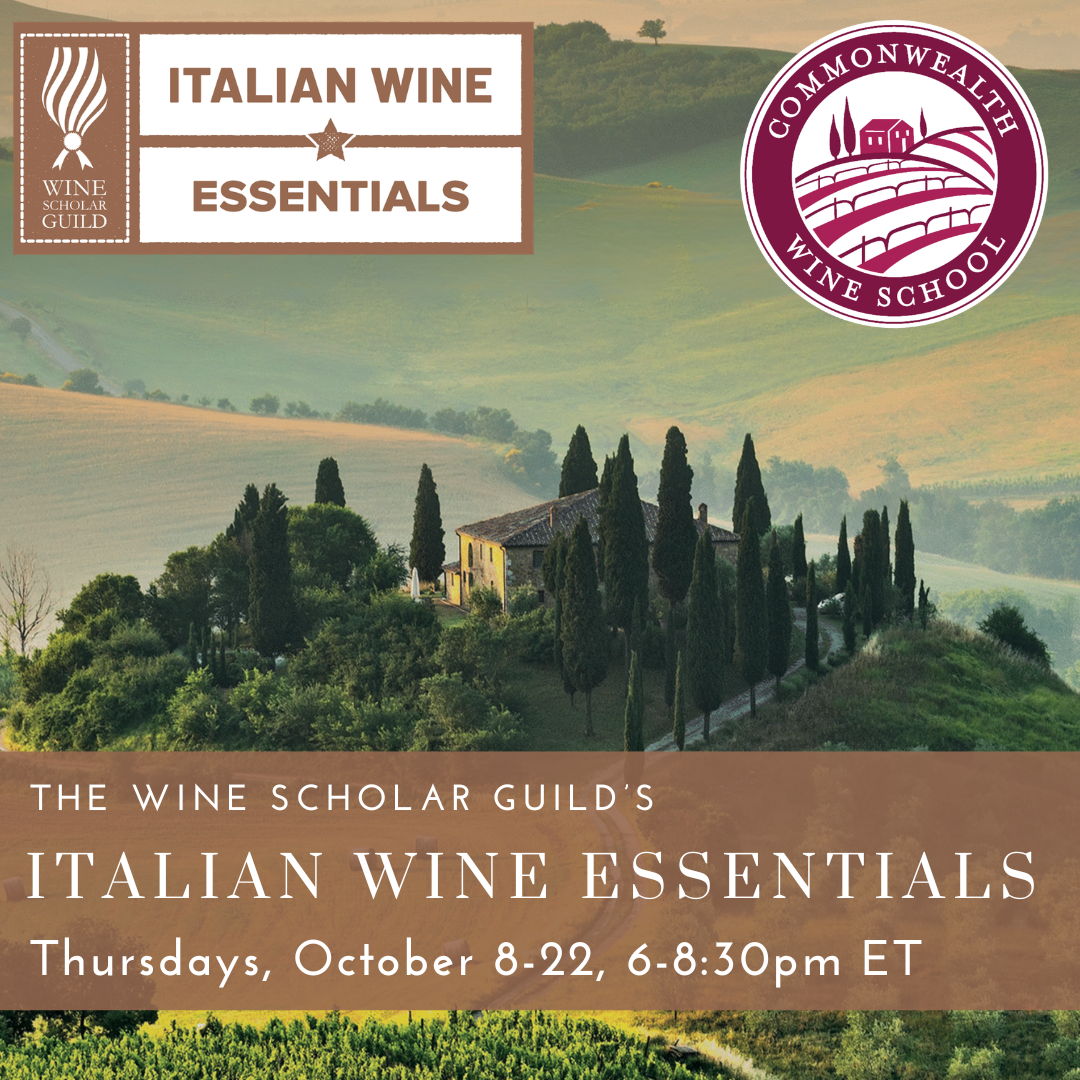 Italian Wine Essentials (2).png