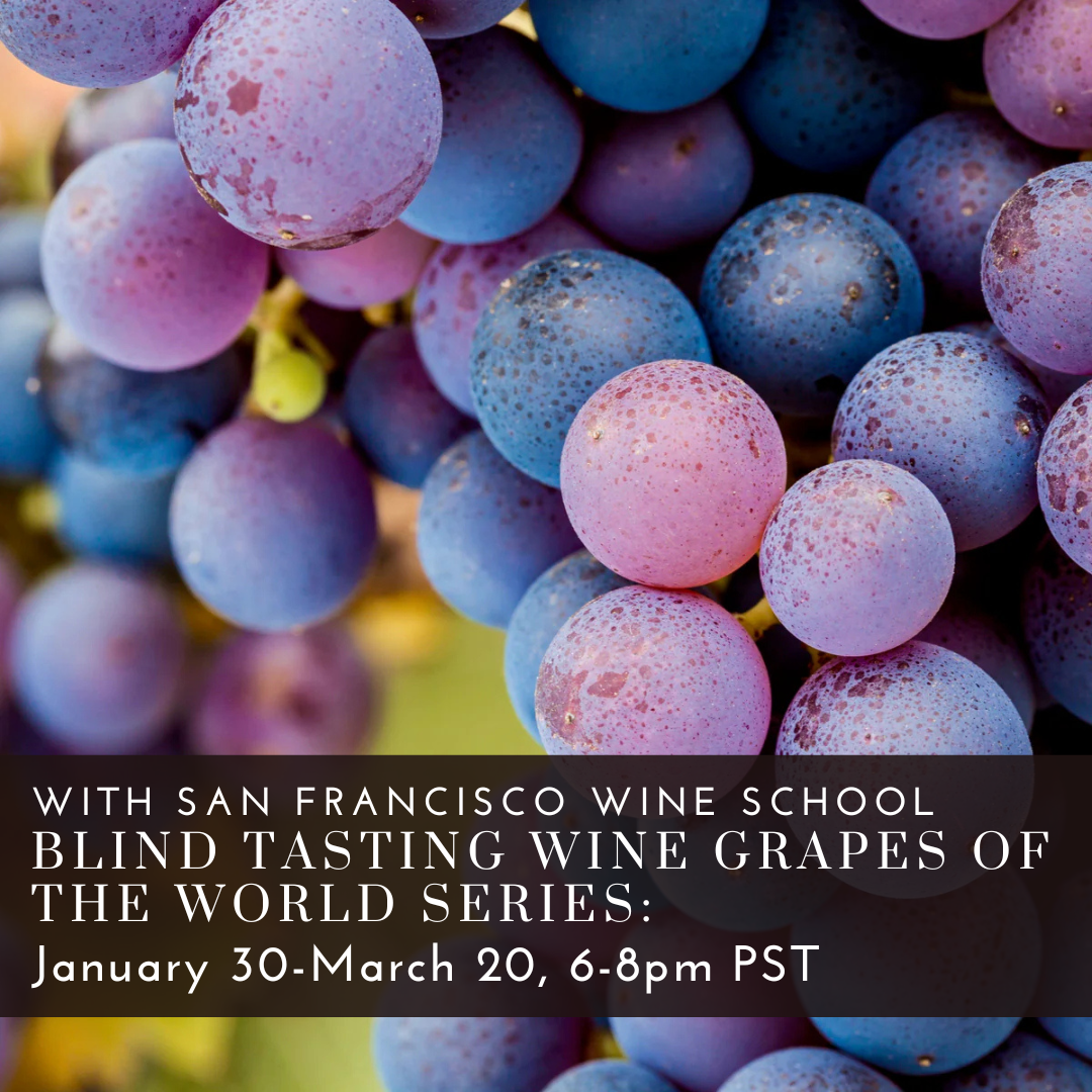 Blind Tasting Grapes Series (2).png
