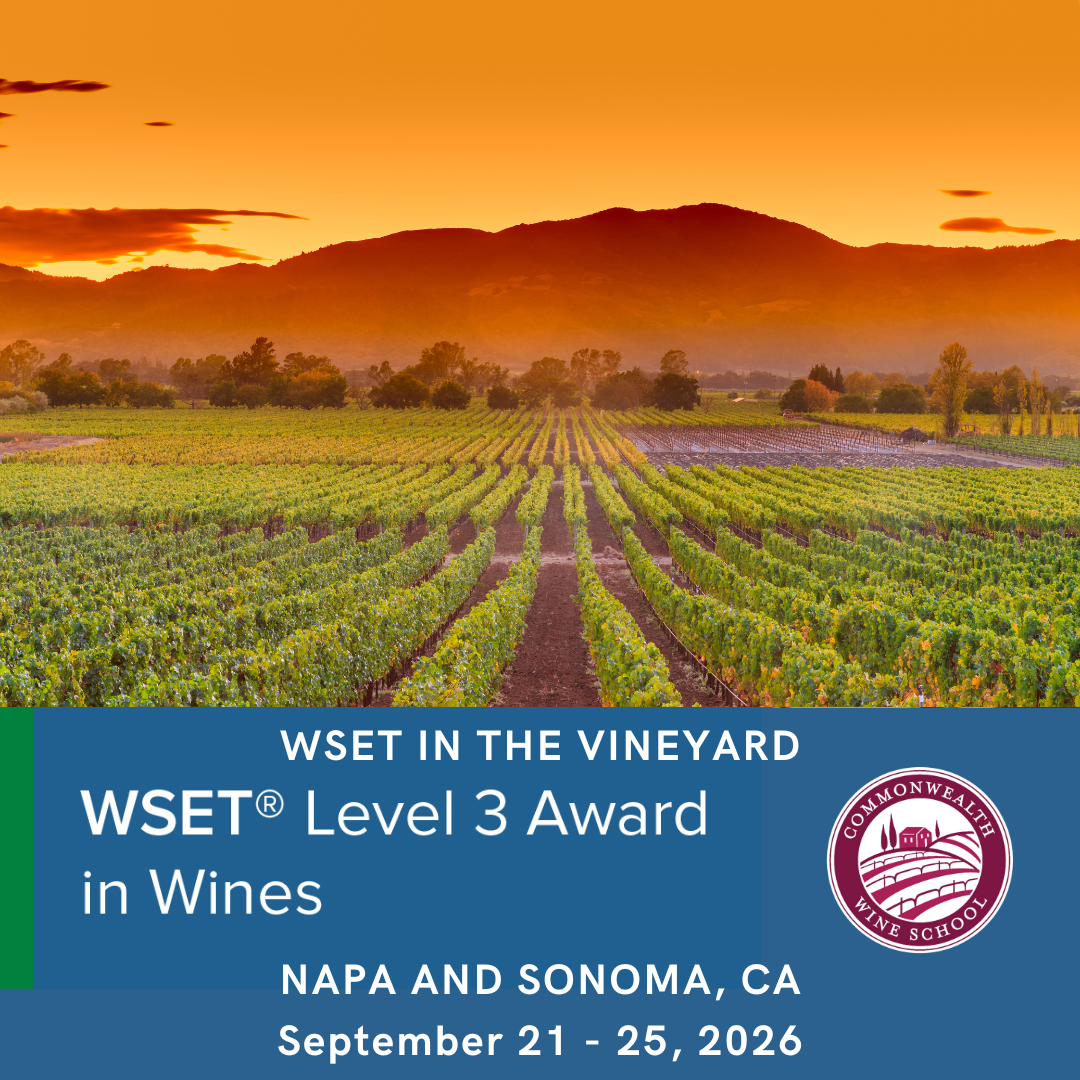 WSET In the Vineyard - Level 3 Award in Wines in Napa and Sonoma (Sept 21 - 25, 2026)