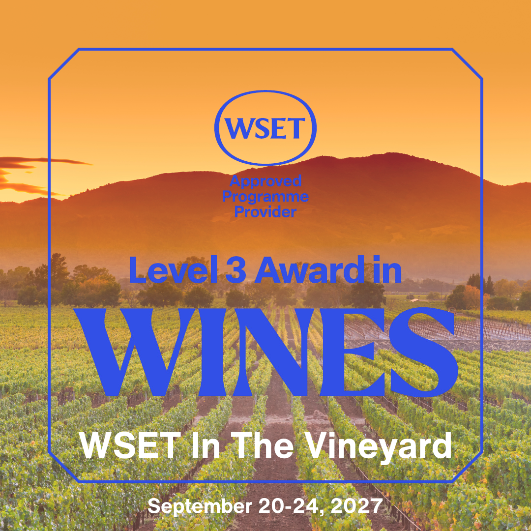 Level 3 in the vineyard.png