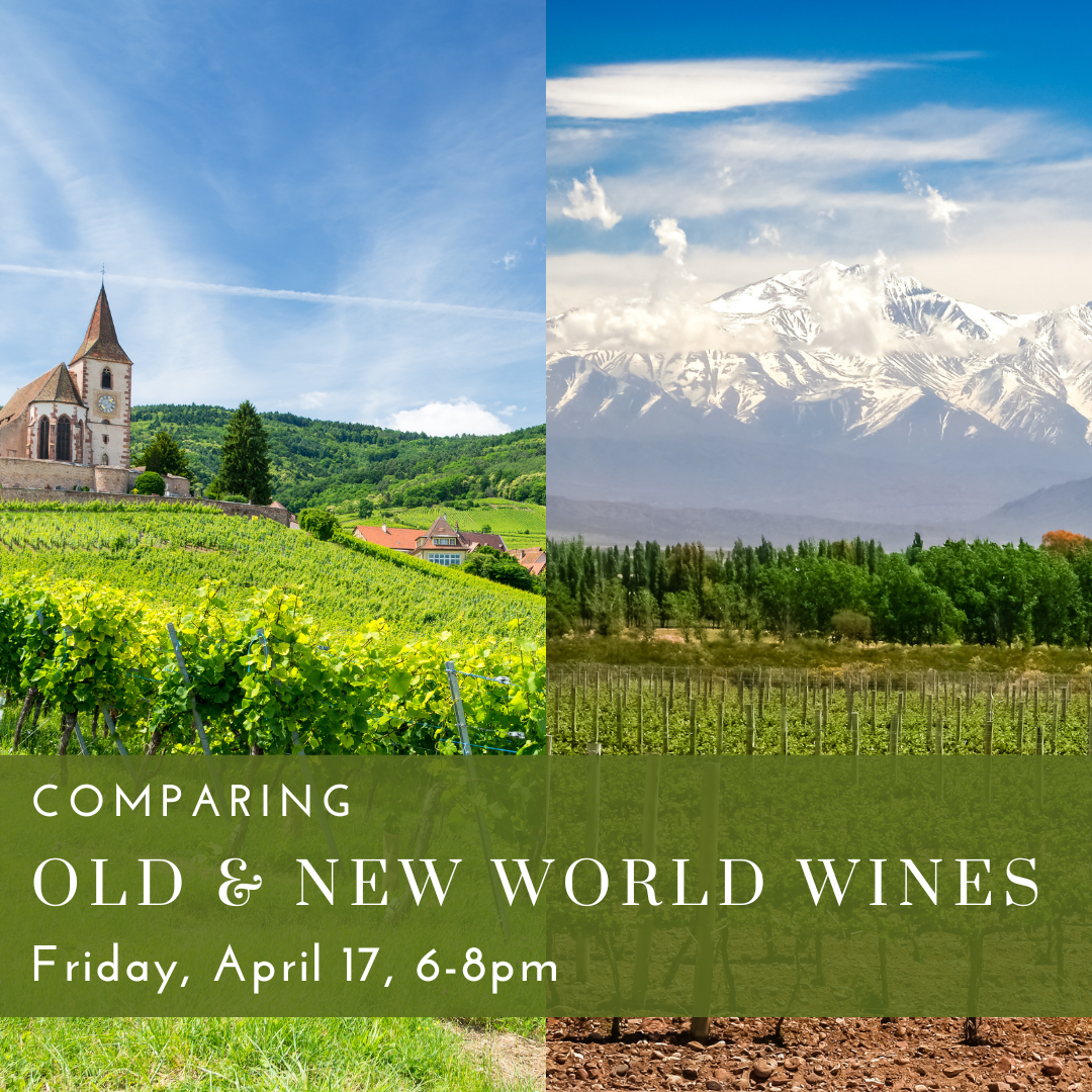 Comparing Old & New World Wines (3).png