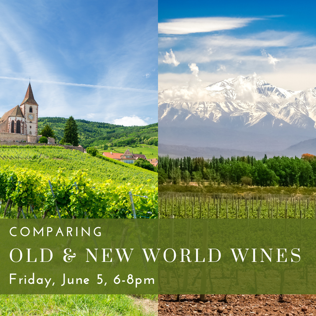 Comparing Old & New World Wines (4).png