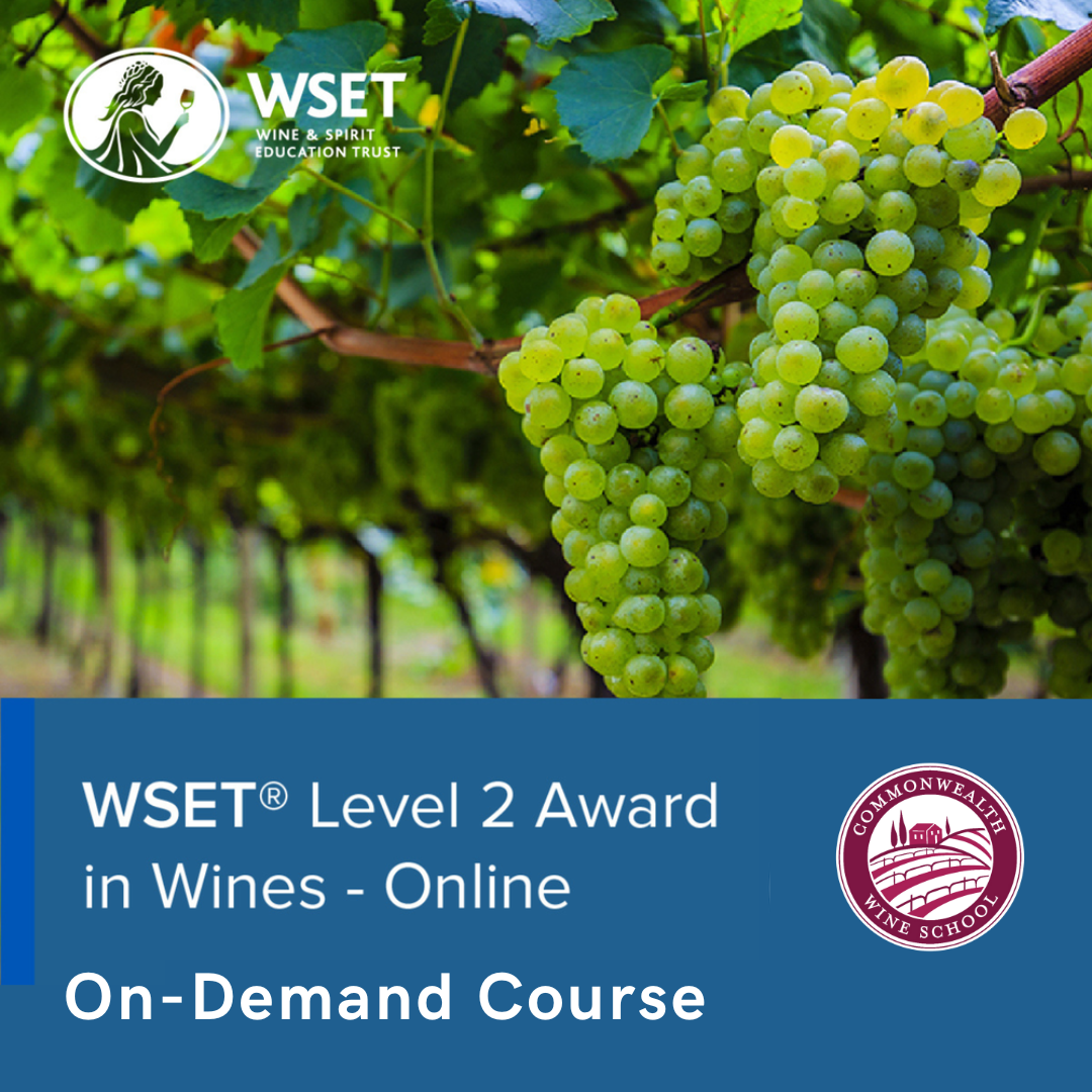 Level 2 On-Demand (1).png