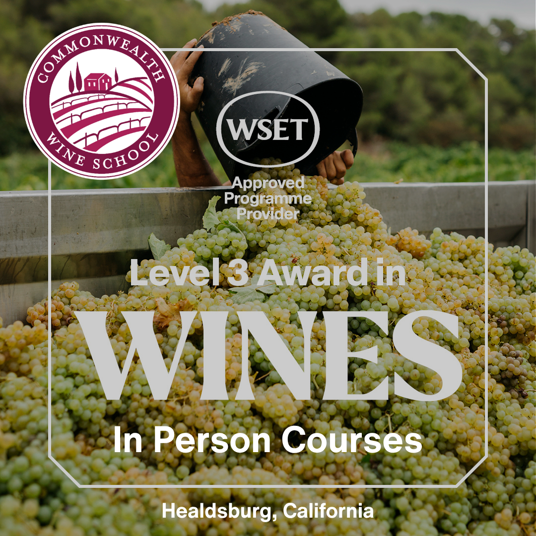 Level 3 Wine Odyssey Healdsburg.png