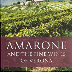 amaronebook.png