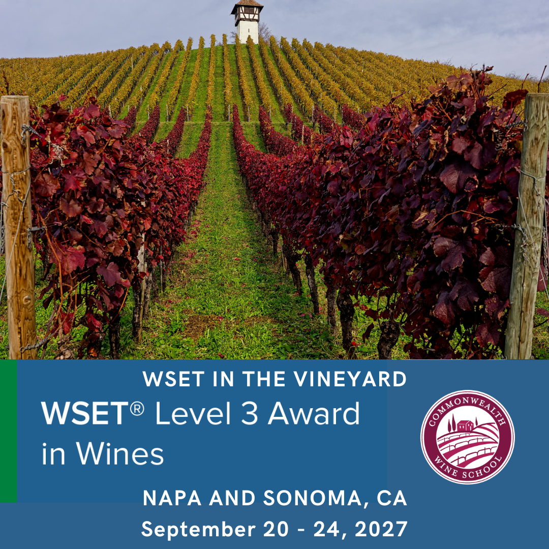 WSET In the Vineyard - Level 3 Award in Wines in Napa and Sonoma (Sept 20 - 24, 2027)