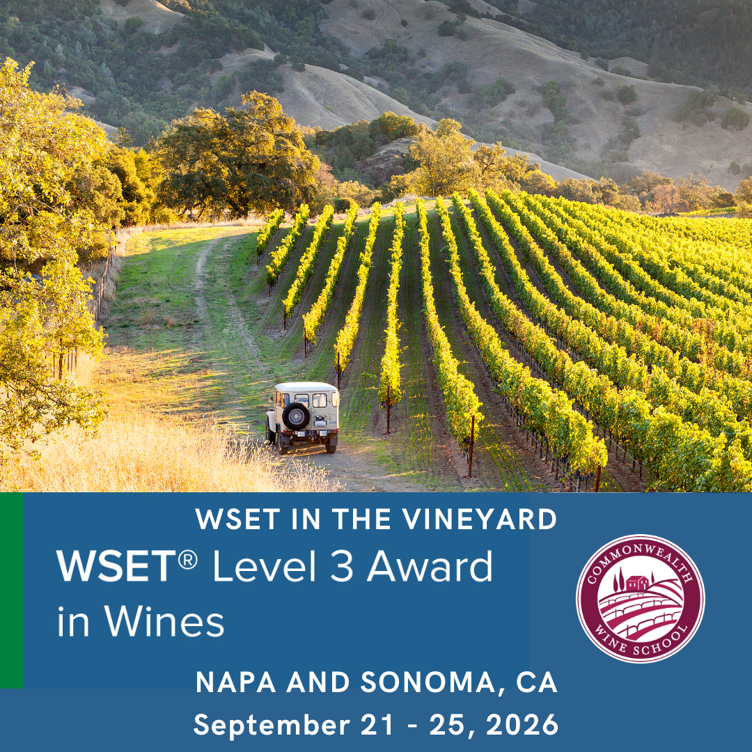 wset in the vineyard 1 (3).png