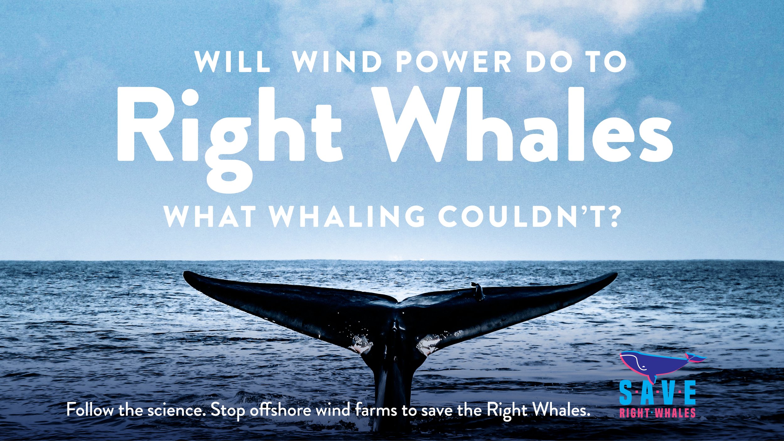 Save Right Whales