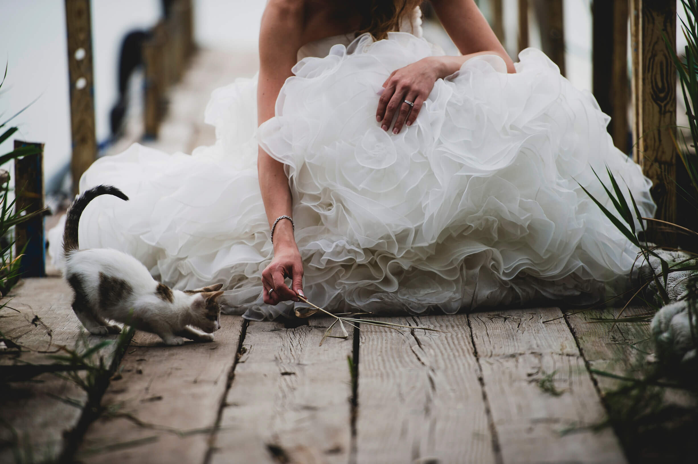 tachstudio boda madrid albufera valencia_-16.jpg