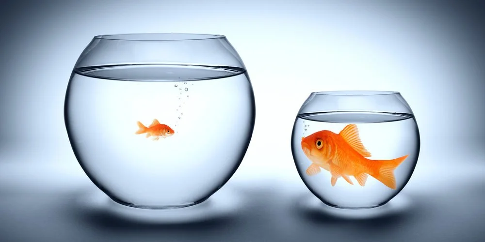 The Hidden Danger of Comparison When Buying a Home
