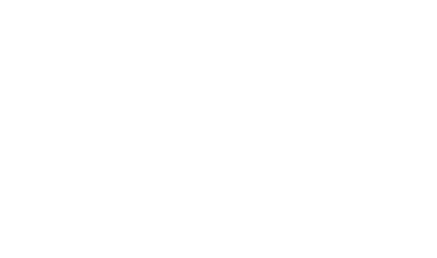Big D Speed Shop logo