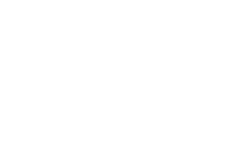 University of North Texas logo