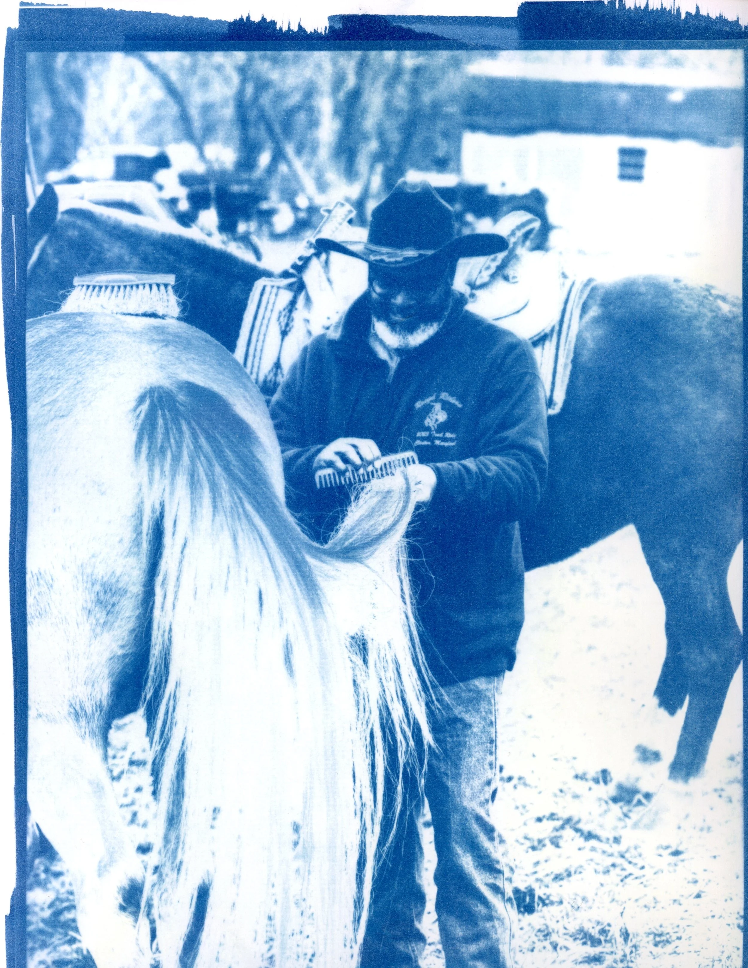 In the Quiet Between: Studies from the Trail