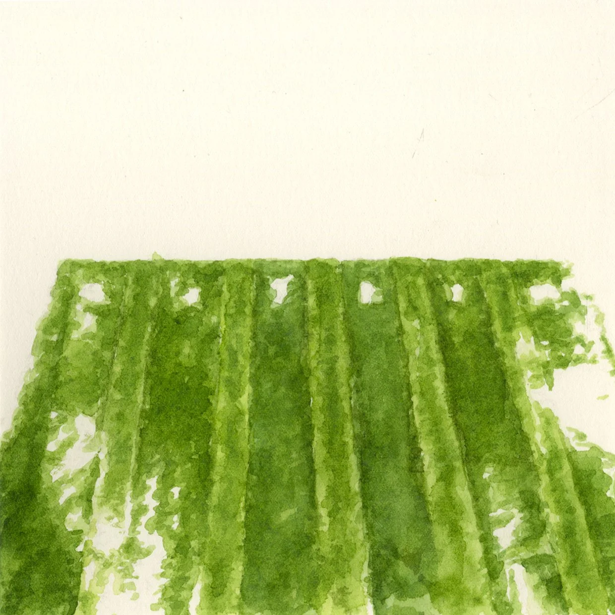 A Reflection on “Future: Evergreener”