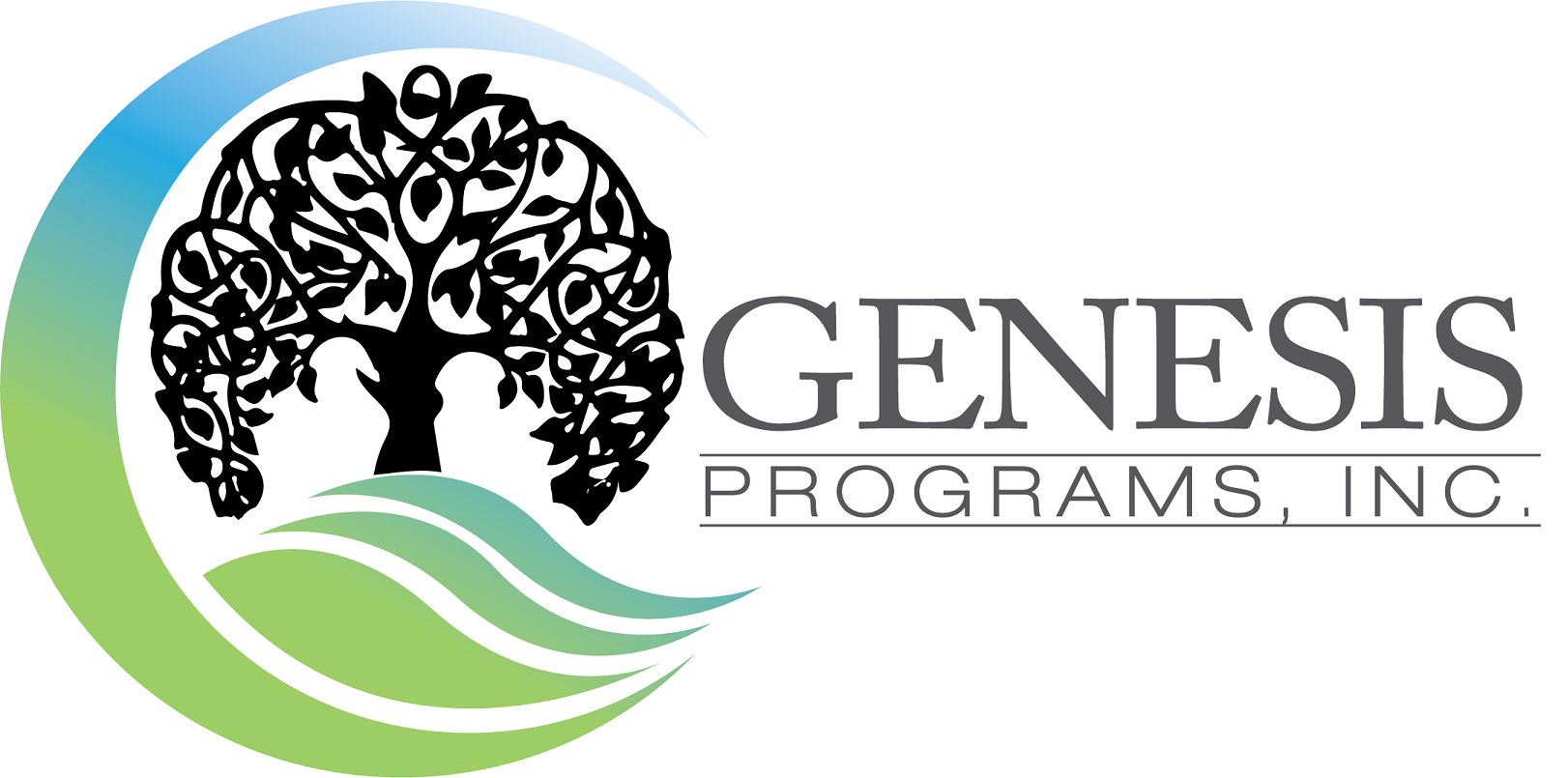 Genesis Programs.png