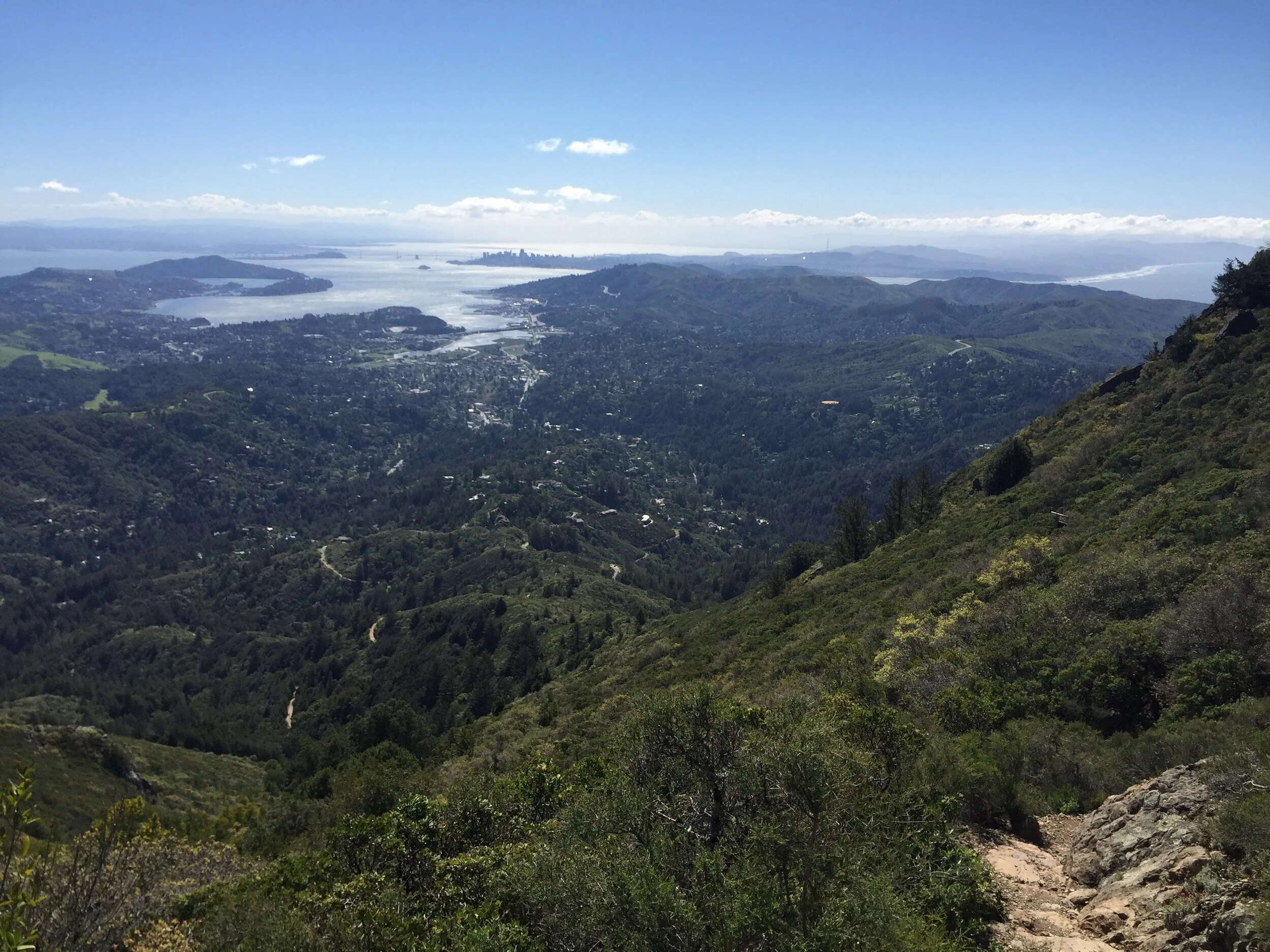 Mill Valley — real estate refined