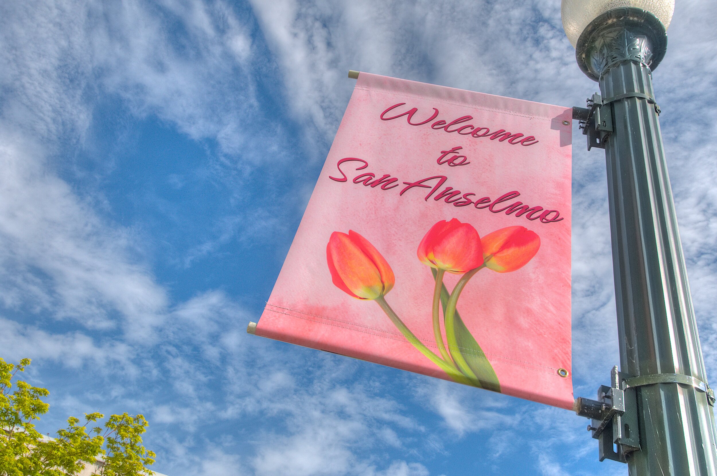San Anselmo — real estate refined