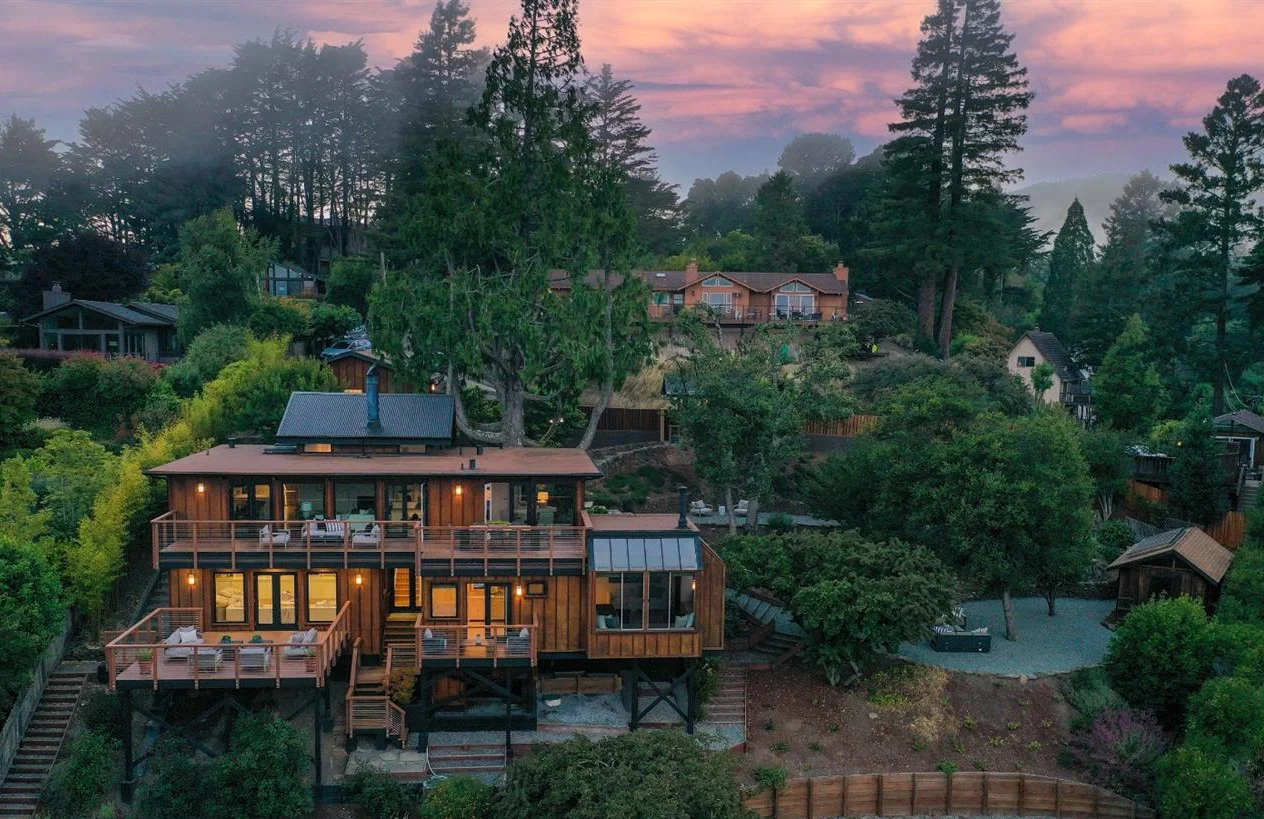 Among the Redwoods in Mill Valley