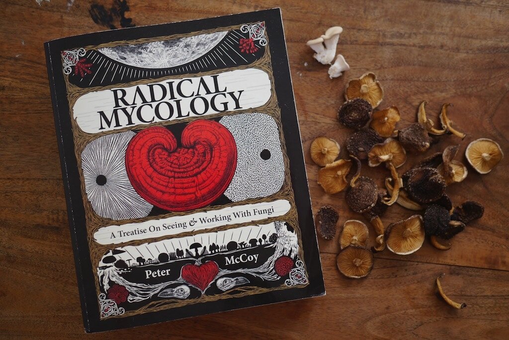 MYCOLOGY JOKES FOR THE FUN GUIS OUT THERE
