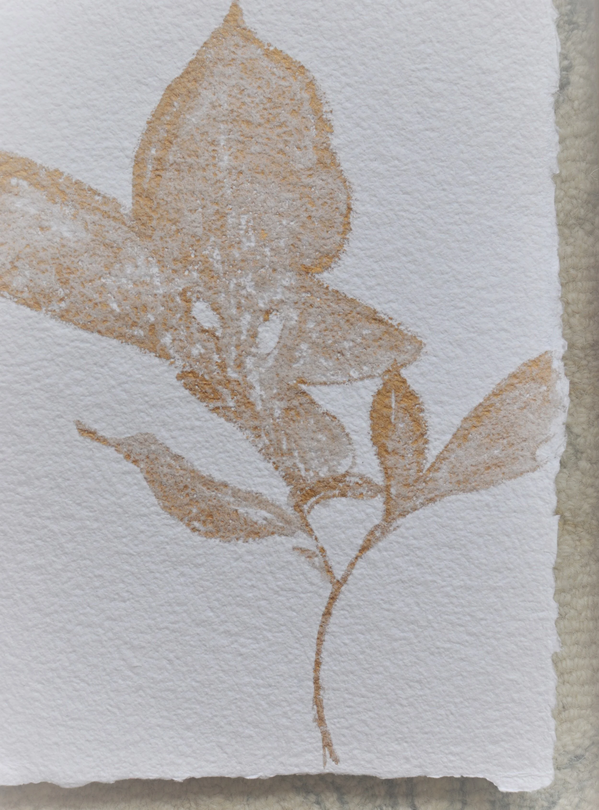 Gilded Botanical Collection Rhymes Stabler Fine Art (90).JPG