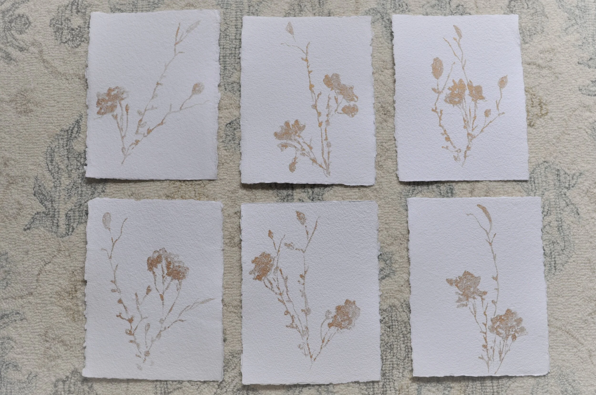 Gilded Botanical Collection Rhymes Stabler Fine Art (81).JPG